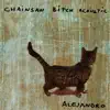 Chainsaw Bitch Acoustic - Alejandro